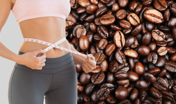Artisan Coffee Guide - High Impact Coffee